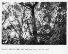 The Past is Filled with Shadows (After Derek Jarman’s ‘Smiling in Slow Motion’, 2000), 2012 